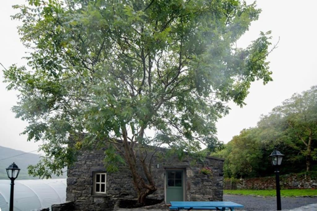 Fermoyle Properties Glynn'S Cottage Fanore Exteriér fotografie
